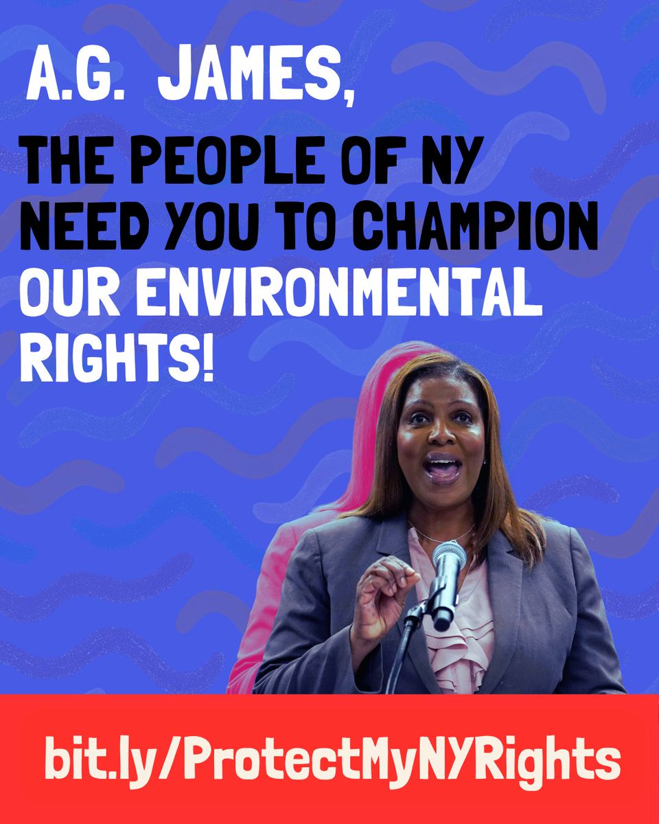 Frontlines2ferc's tweet photo. In 2021, over 70% of voters in New York voted to include the right to a clean and healthy environment in the state's Bill of Rights, becoming known as the New York Green Amendment. https://t.co/3S8KtZFGMx