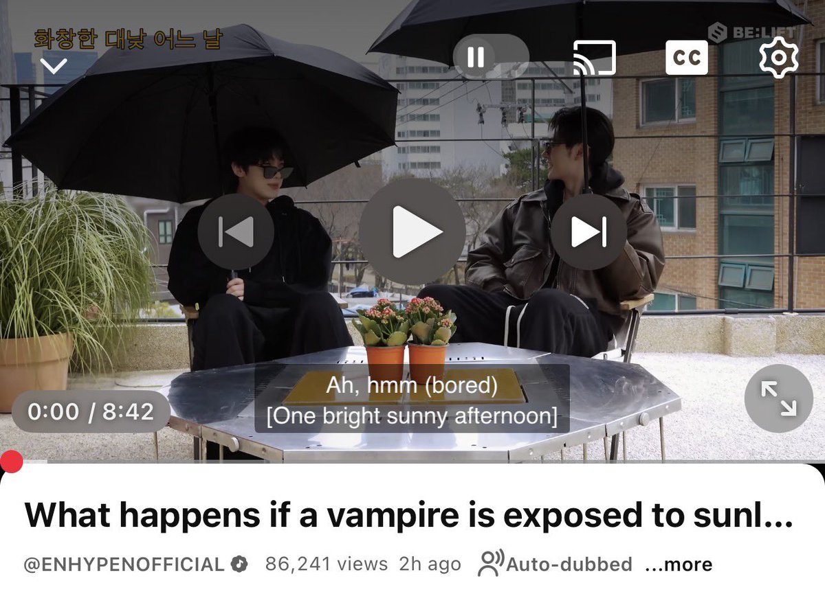 peanut.. tweet media