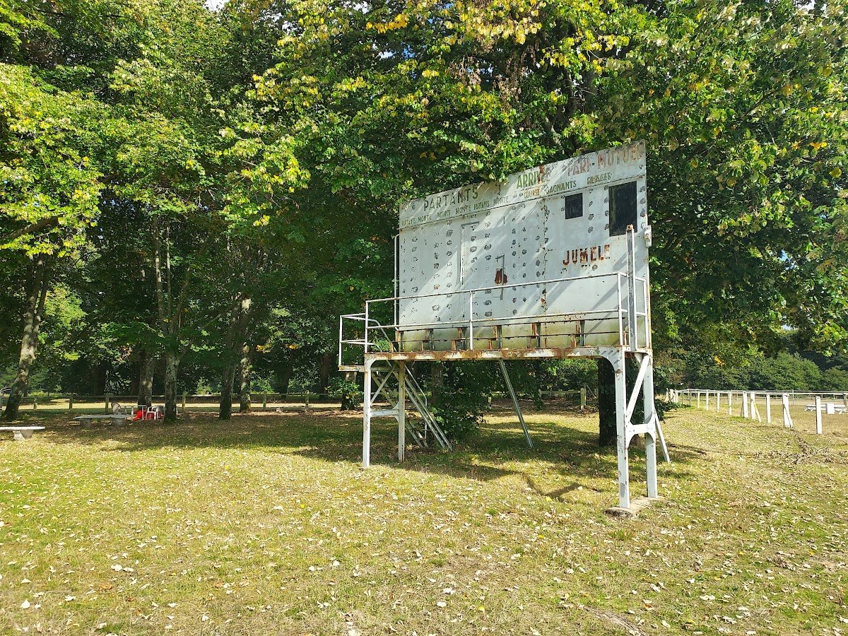 Patrick Weaver tweet media