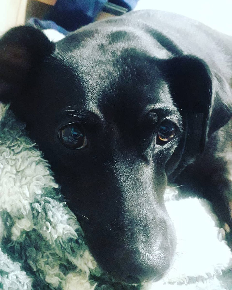 Aquele Emo Lá tweet media