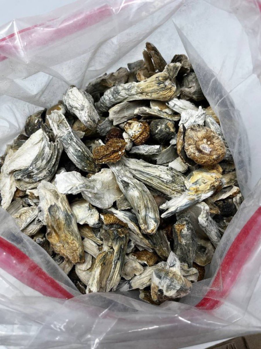 weed___paris_'s tweet photo. Weed Shrooms  Edibles Pill liquid Vapes Ketamine plug in Carts Barcelona Madrid Mallorca Sevilla Berlin Dortmund Hamburg Melbourne Dublin Leipzig Leicester koln Paris London Belfast Adderall Vyvanse Birmingham
Manchester Liverpool Sheffield Bristol
Weed Manchester Weed London https://t.co/rt4QPS90qN