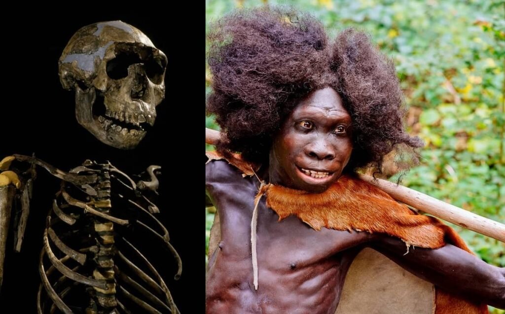 Highly Compelling tweet media