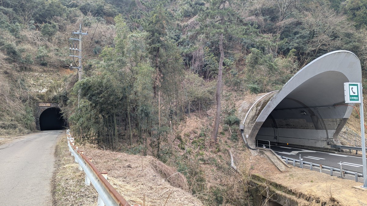 かけうどん🏇 tweet media