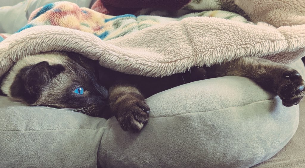 Pilze🎃 tweet media