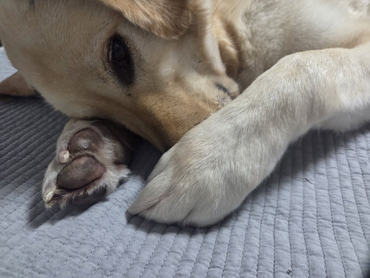 꽃괴🌷 tweet media