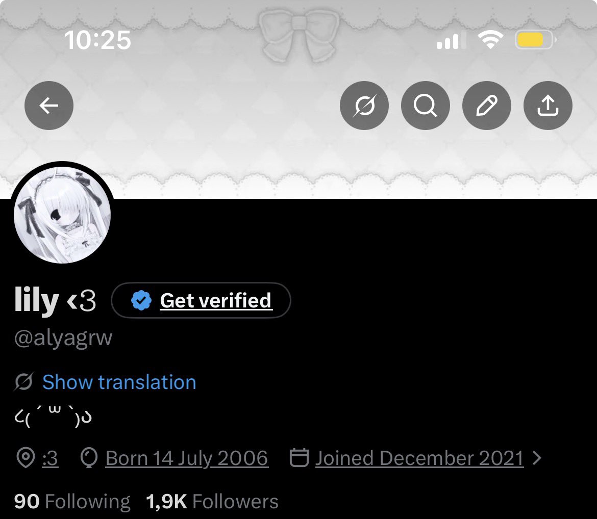 lily ‹𝟹 tweet media
