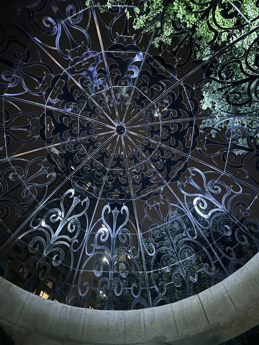 みさき🌿 tweet media