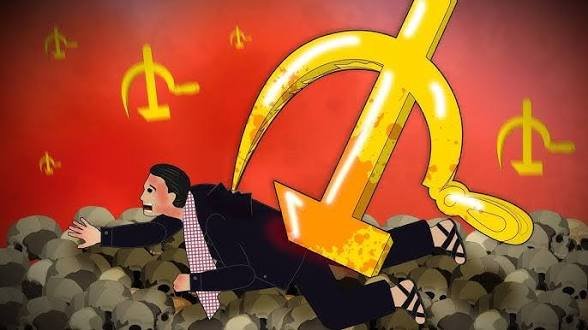 Rui Lima tweet media