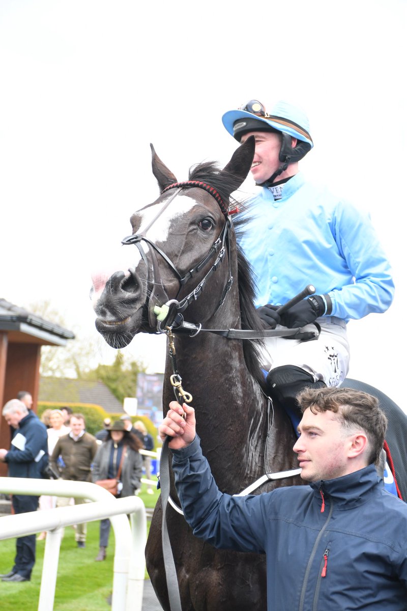 PCequinephoto's tweet photo. Jet To Monte Carlo trained by Emmet Mullins is a winner @Fairyhouse 6/4/26 @IrishRacing7 https://t.co/fHI2obaB5j