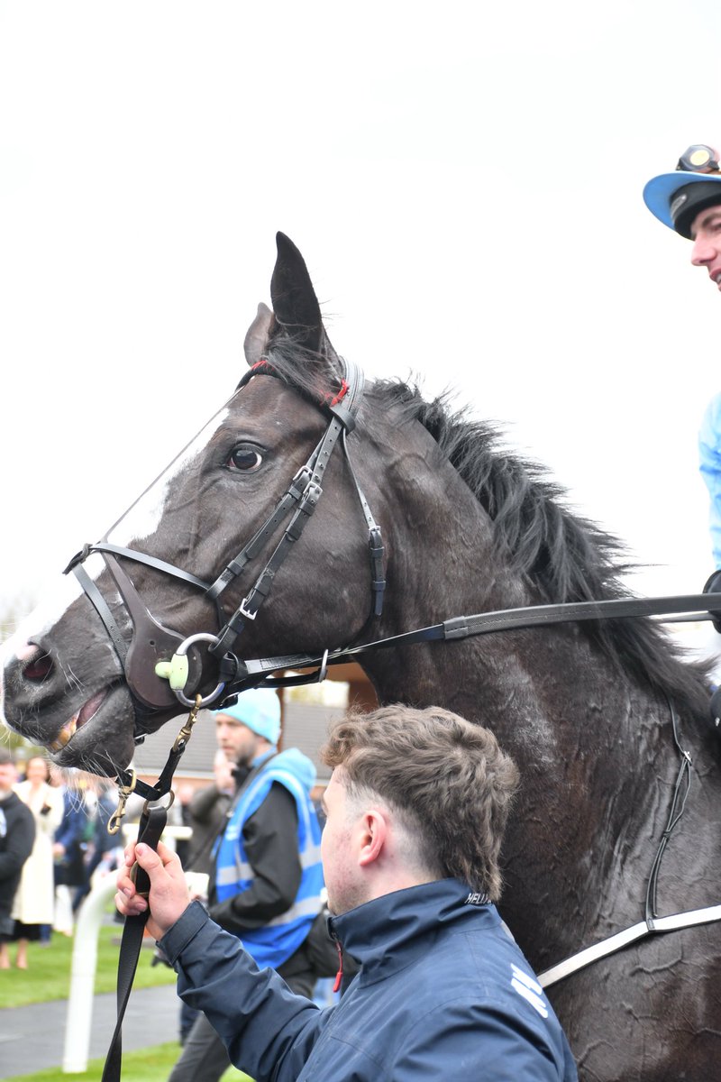 PCequinephoto's tweet photo. Jet To Monte Carlo trained by Emmet Mullins is a winner @Fairyhouse 6/4/26 @IrishRacing7 https://t.co/fHI2obaB5j