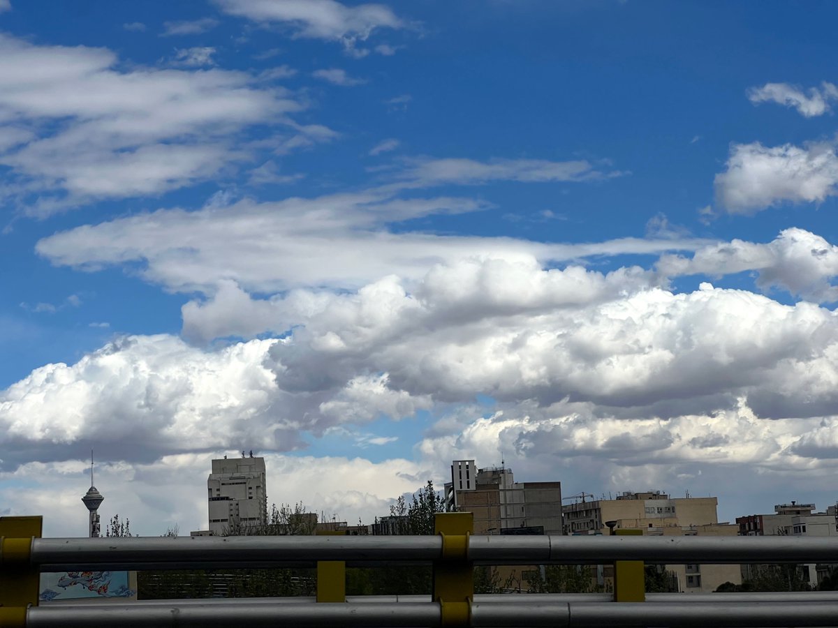 واعظ tweet media