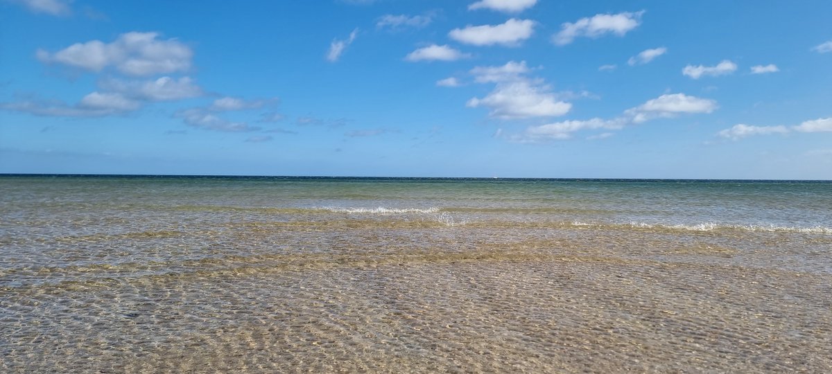 VidarCoc's tweet photo. Sogleich die extrem kalorienarme Schokotorte und den winzigen Cappuccino durch einen erneuten Strandspaziergang kompensieren. 😉
Wetterlage top!
Habt einen schönen Montag!
#WeidefelderStrand #Olpenitz https://t.co/N34EM6rigw