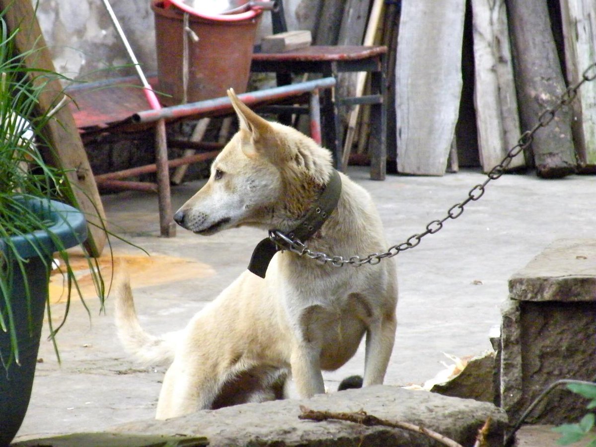 Sanchez 🔥 tweet media