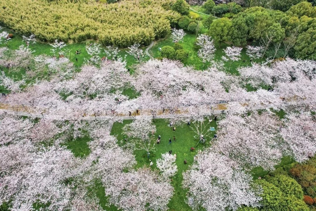 子曰 互fo tweet media