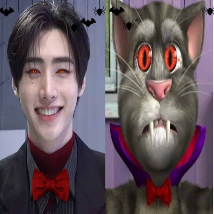 solon btw.28 🫐 ENHYPEN IS 7 tweet media