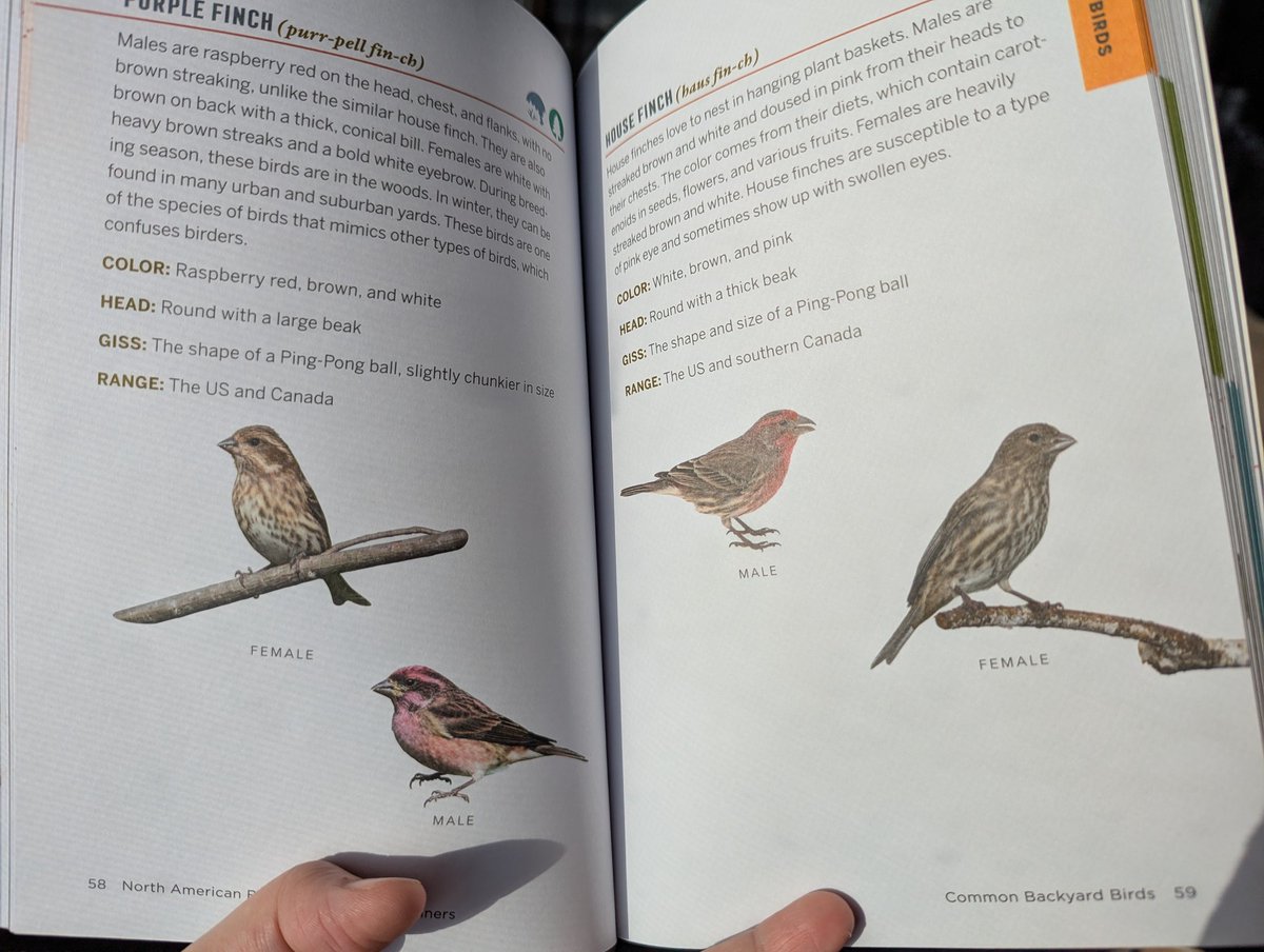 Linsey 🦋 tweet media