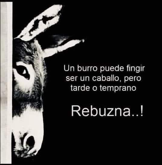 McKeterIsrael 🇮🇱 tweet media