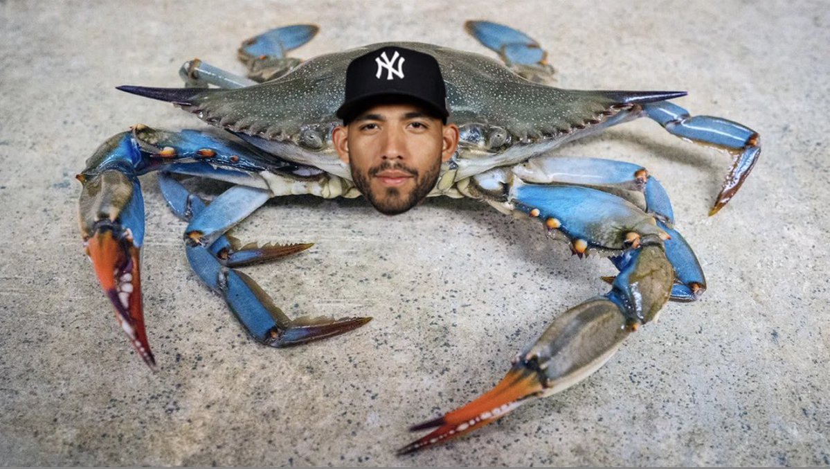 scott, et al tweet media