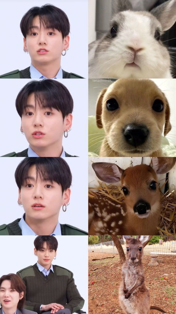 jungkook ♥︎ tweet media