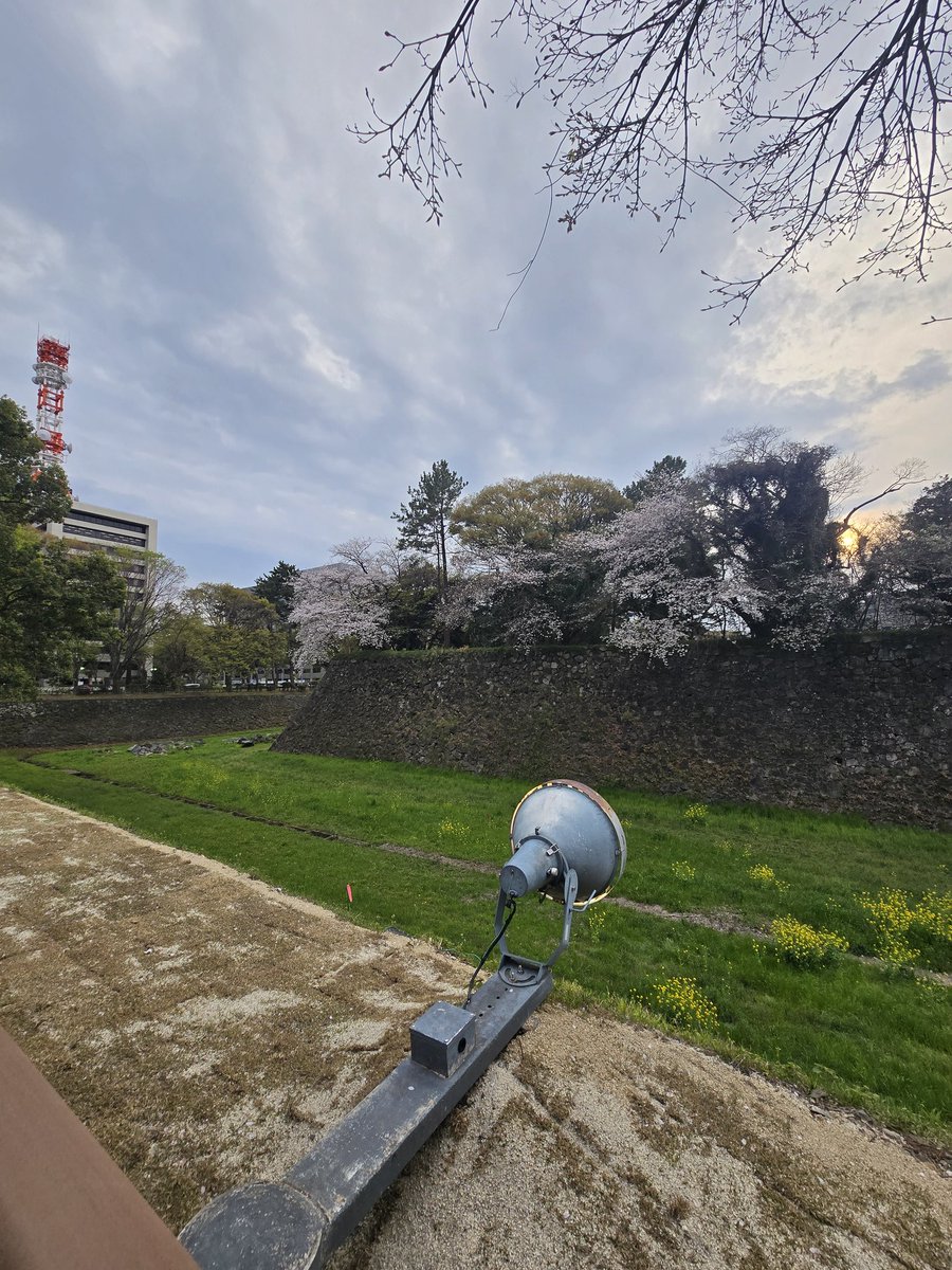 ななっぷる🍎【ポケカ公式ch】 / 小田桐奈々 tweet media