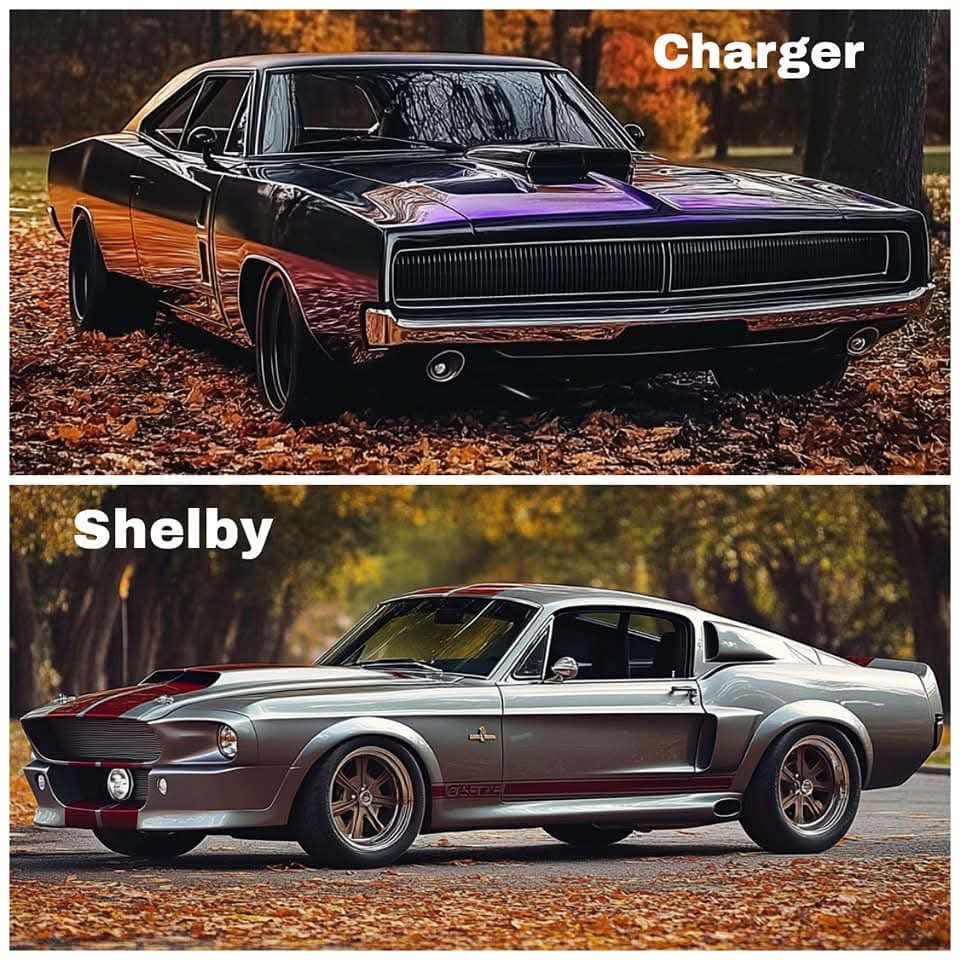 Vintage Cars Collection tweet media
