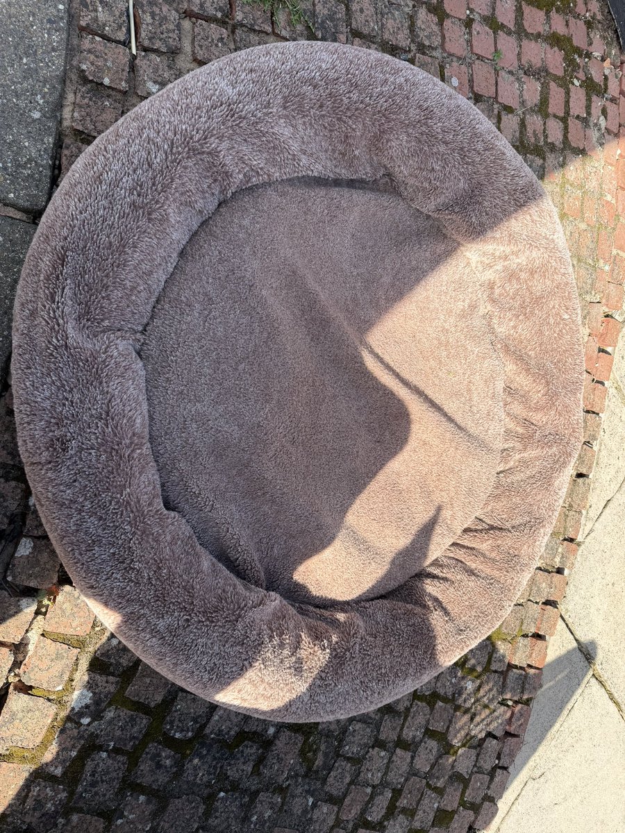 Chappers 🐾🐝 🙋‍♀️ tweet media