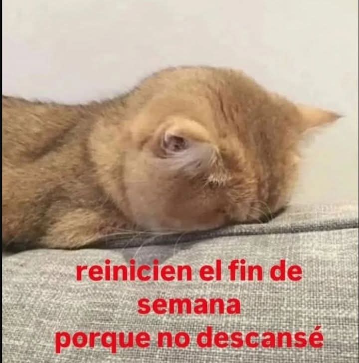 Mario Bros (Gus) ◢◤ tweet media