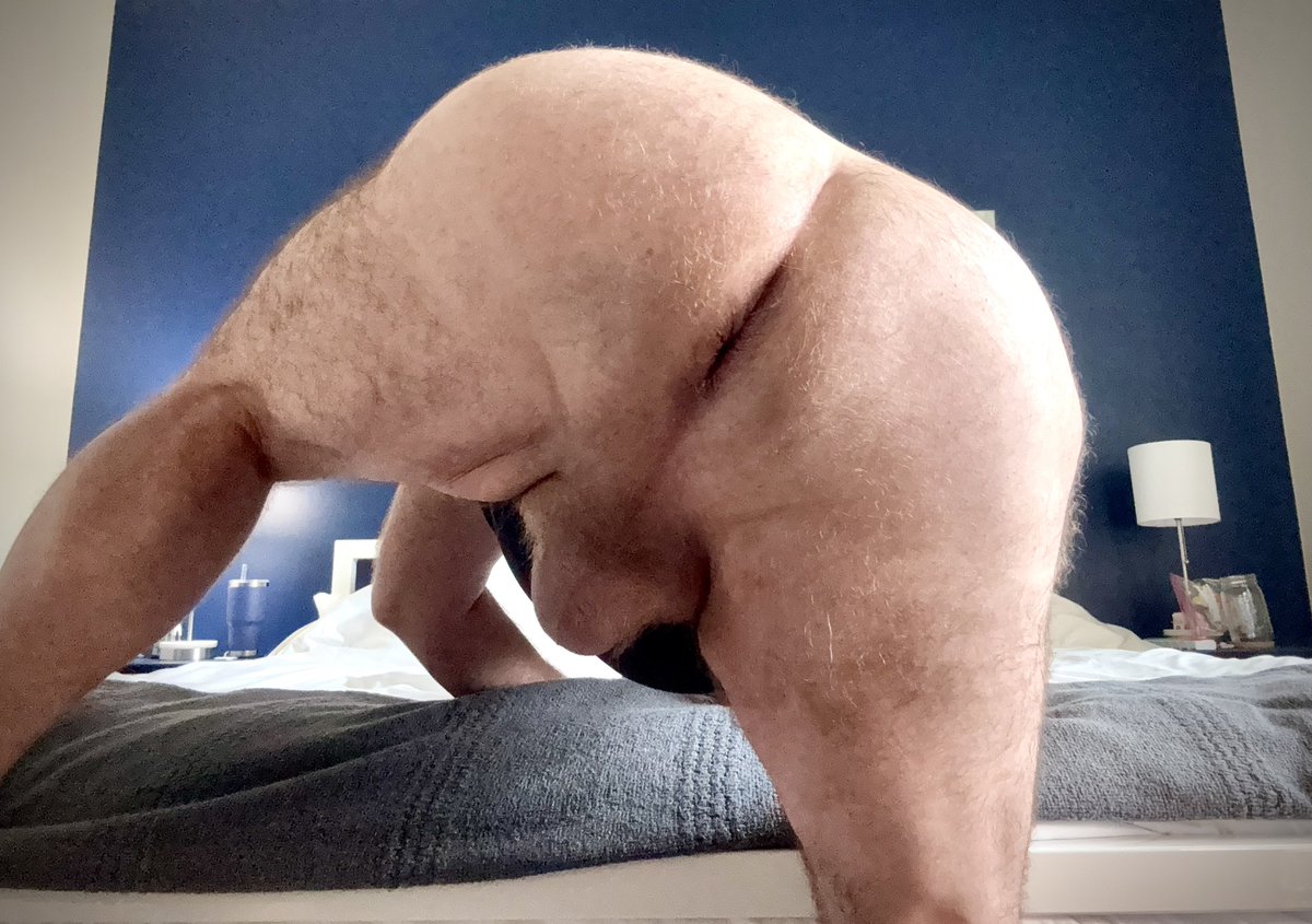 ScimageFL tweet media