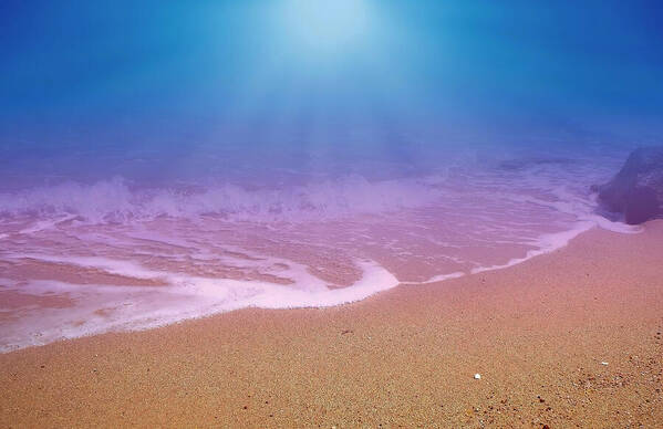 HurmerintaArt's tweet image. Dreamland Beach and Seashore In The Morning.
#photography #dreamy #seashore #africa #wallart 
johanna-hurmerinta.pixels.com/featured/dream…