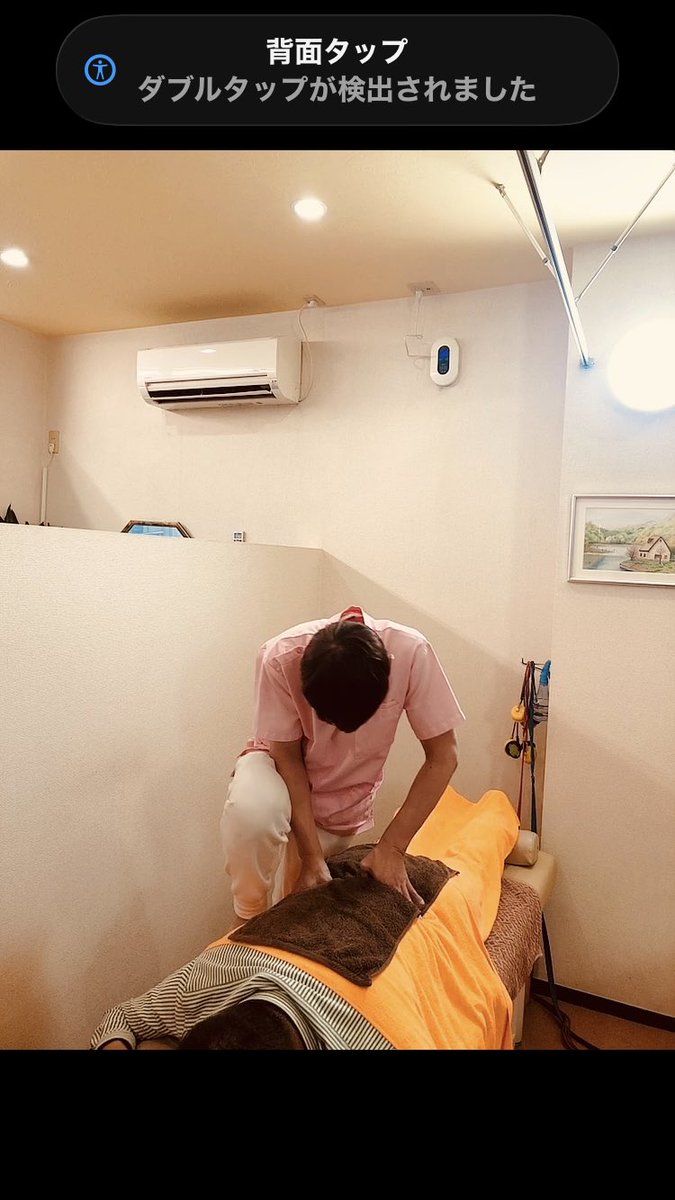 shingolfer tweet media