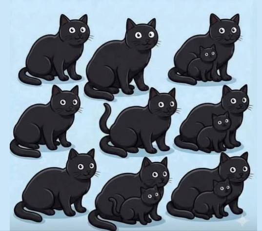 Dr. Alberto Blázquez tweet media