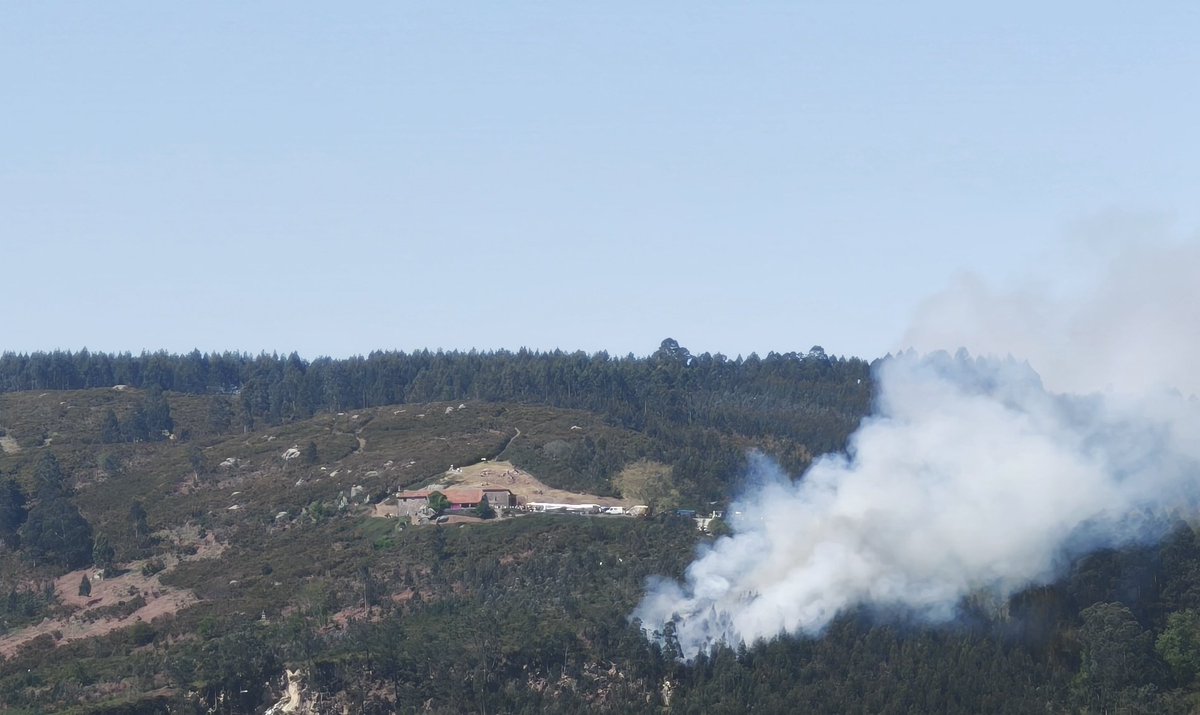 S a d N a c h i ñ o tweet media