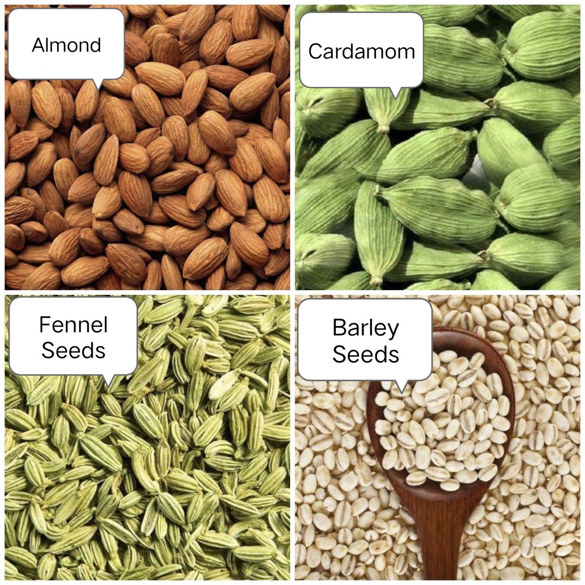 adda_rao's tweet photo. @RahulGandhi Sir,
Please make it a daily habit for your mom to eat 10 Almonds, 4 Cardamom, few boiled FENNEL SEEDS 2 spoons at 7AM and drink BARLEY  Water 2 spoons at 5 PM. So, you can stay strong and healthy.
I kindly request you to avoid Tamarind.
A. Jaggarao
+91-9700606134 https://t.co/BSoo25cFaS