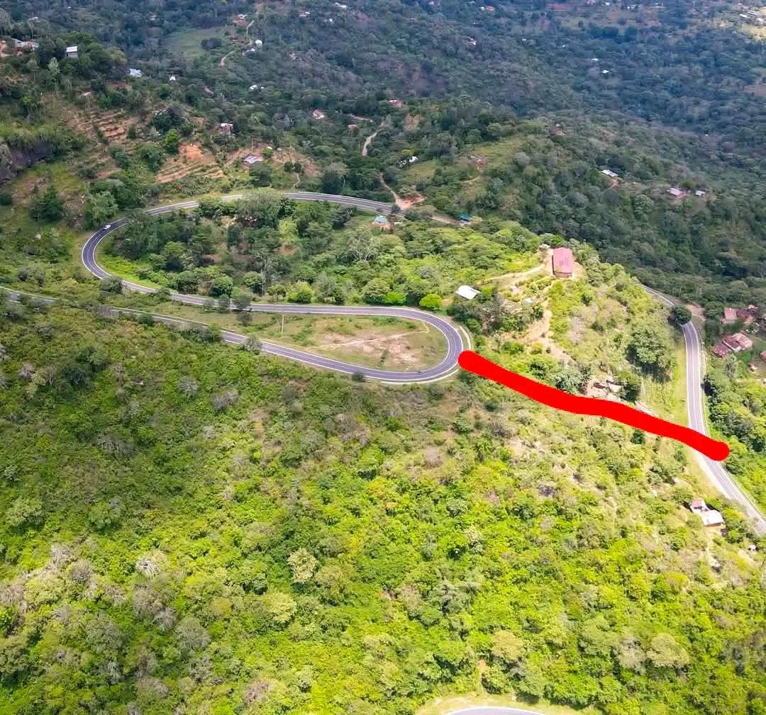 MrBlack🇰🇪 tweet media