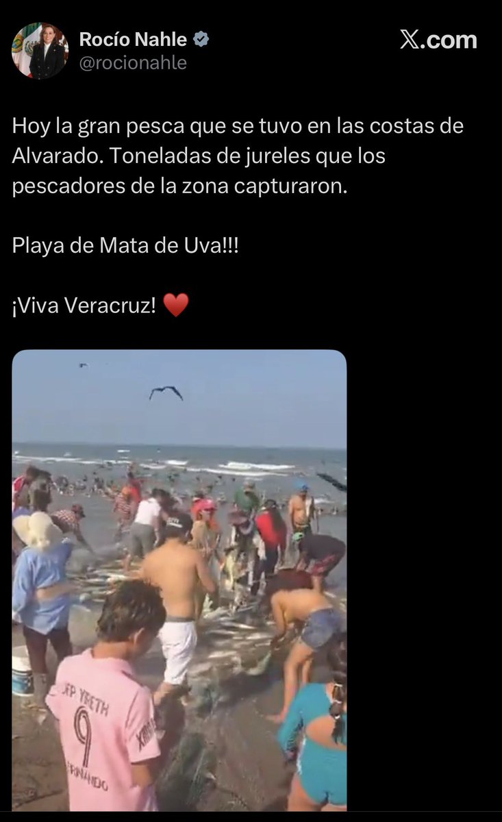 Jorge Triana tweet media