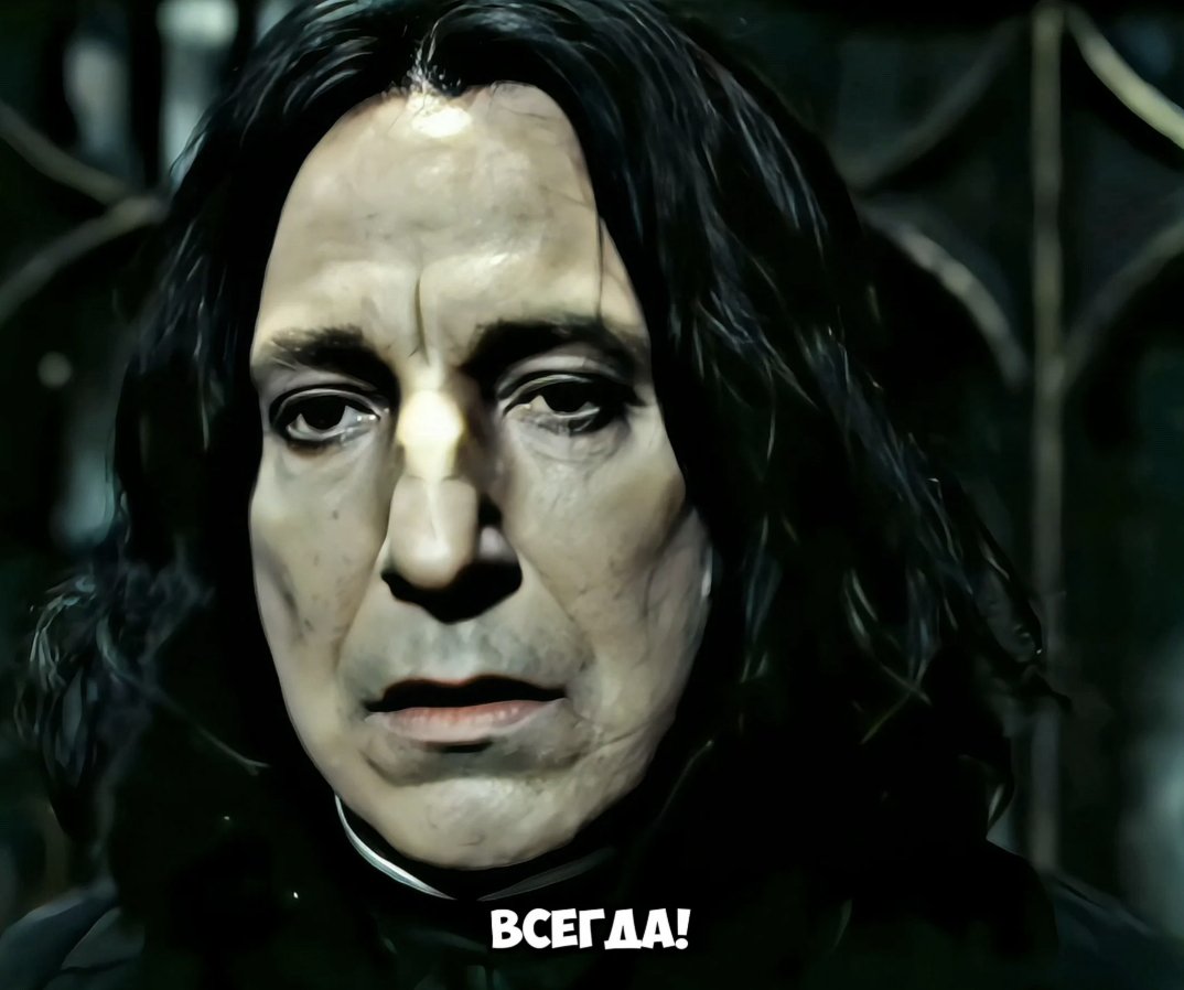 Родион Воробьёв❤️🏳️‍⚧️🇷🇺🇨🇦🇮🇱 tweet media