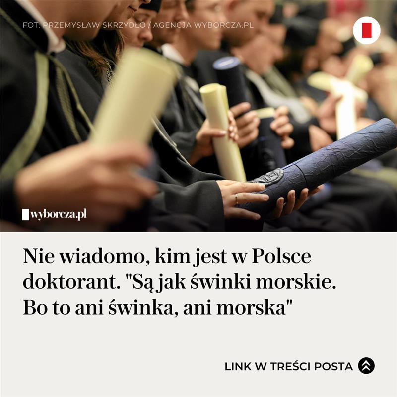 Alicja Gardulska tweet media