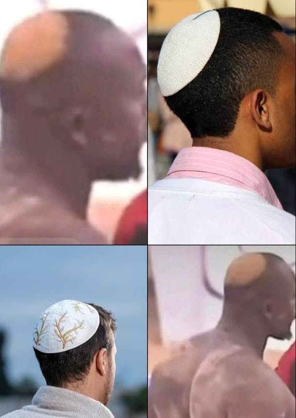 ABDOU FALL tweet media