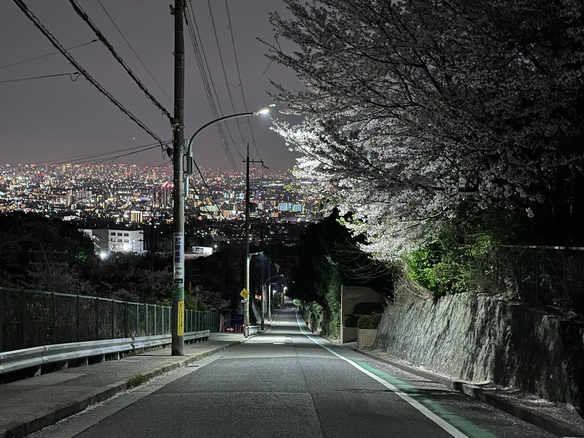 西宮苦楽園高校が舞台！涼宮ハルヒ情報局 tweet media