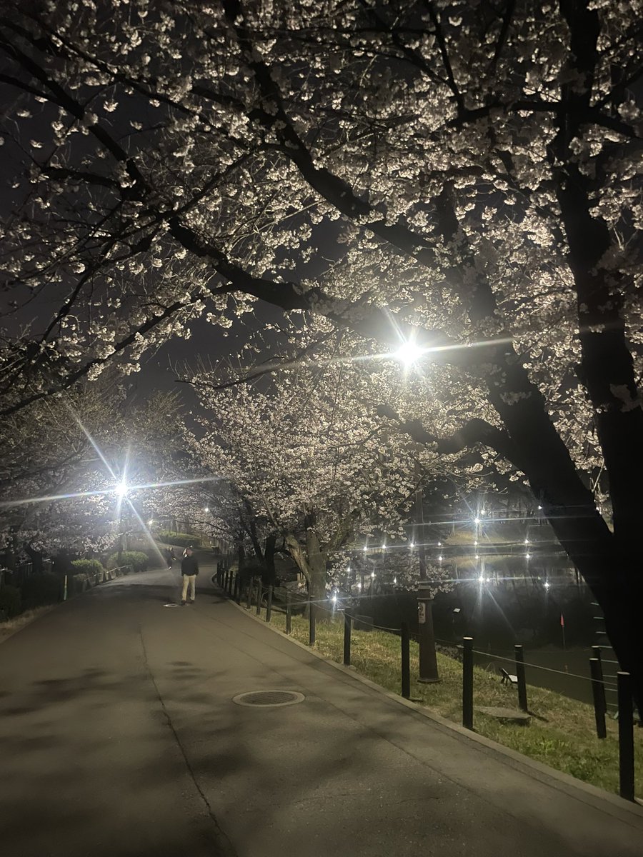 ラーメン二郎大宮公園駅前店 tweet media