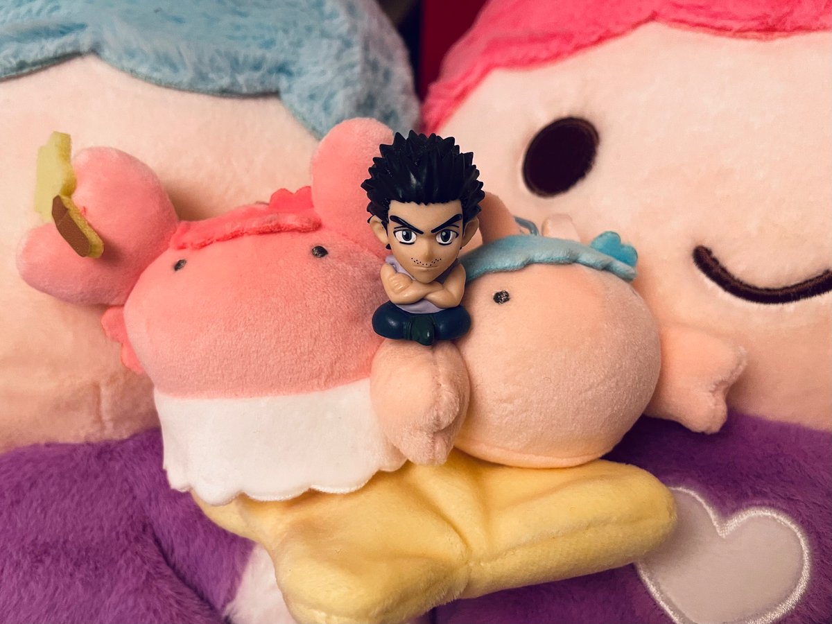 ランデヴー tweet media