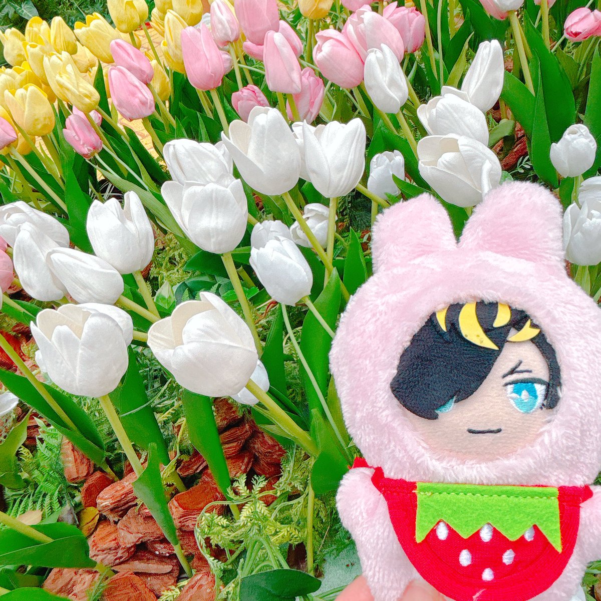 真亜子 tweet media