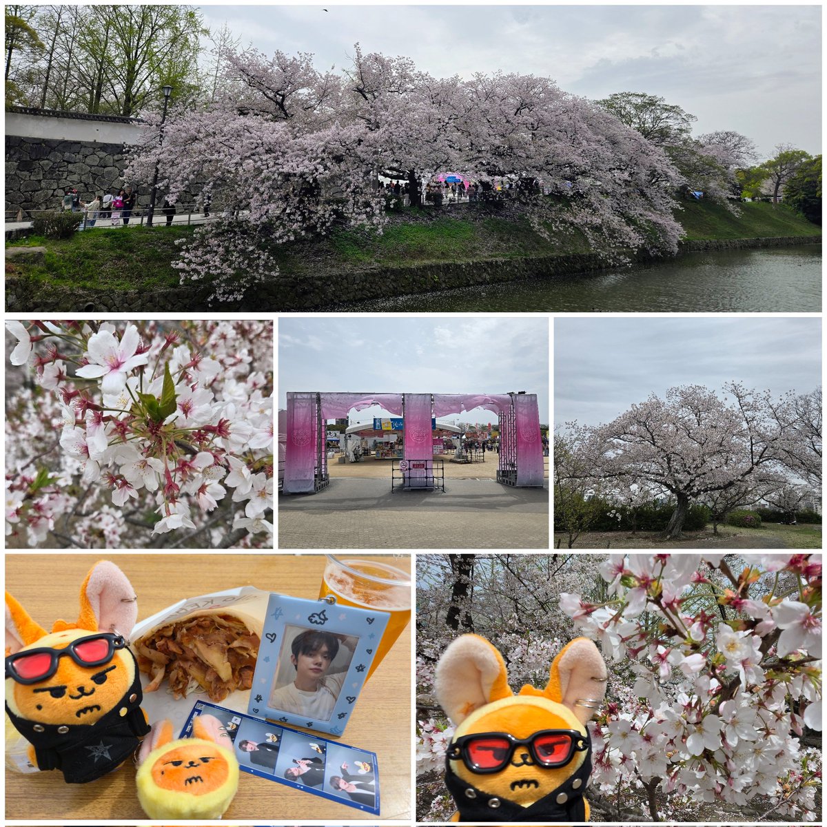 数年振りに来た さくらまつり🌸🌸
健診終わりの🍺は最高😁