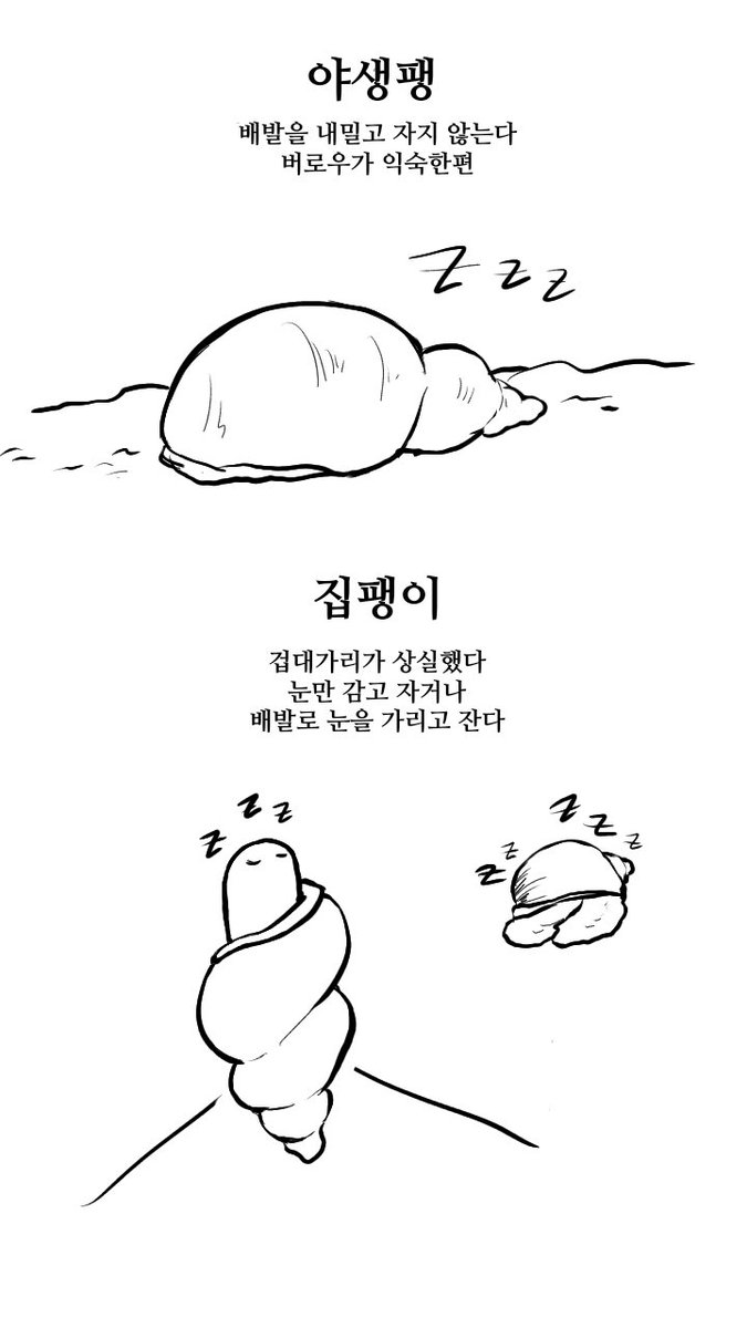 말랑팜🐌 tweet media