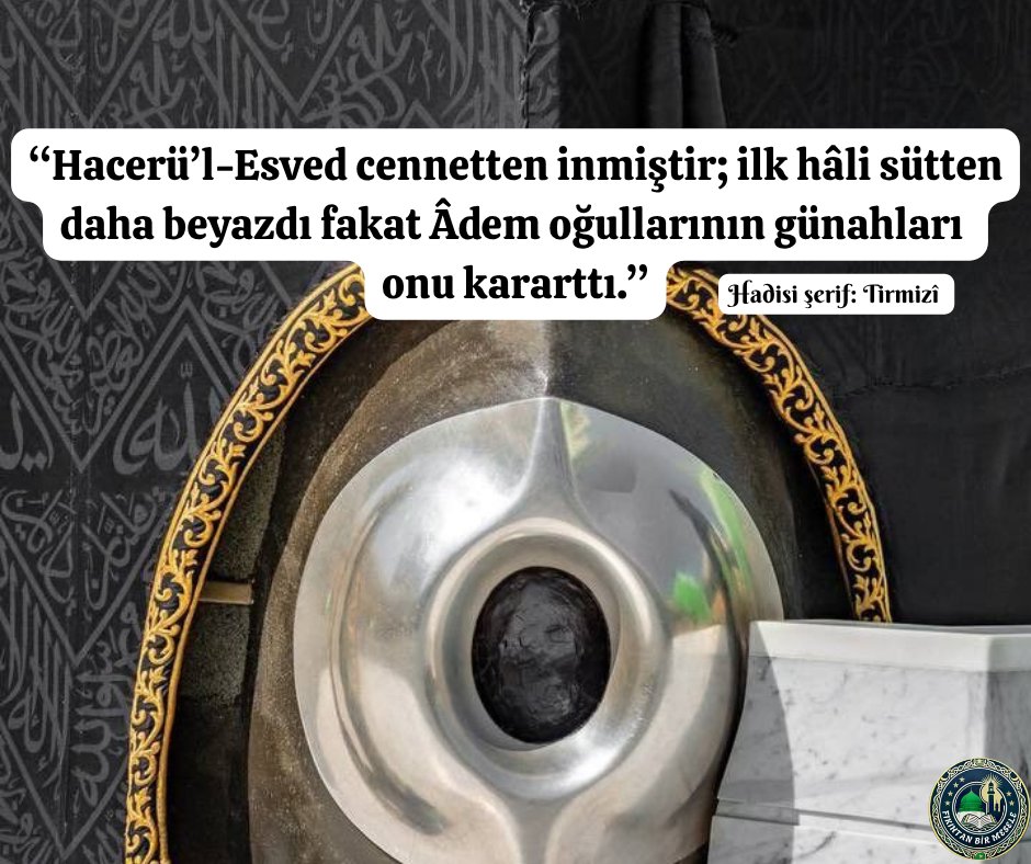 Beşir Çolak tweet media