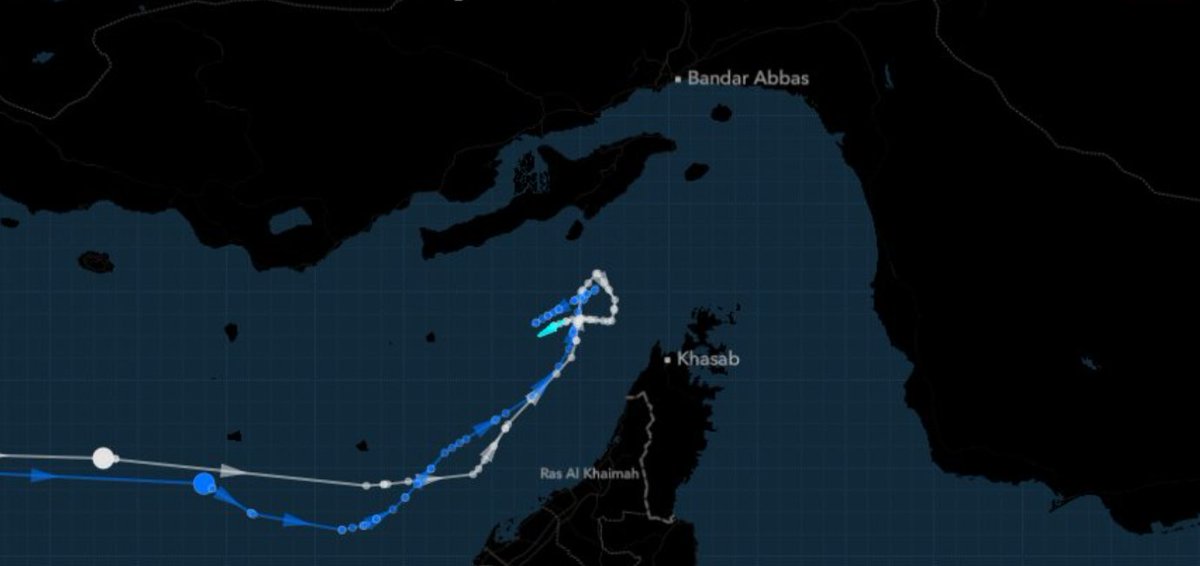 The Hormuz Letter tweet media