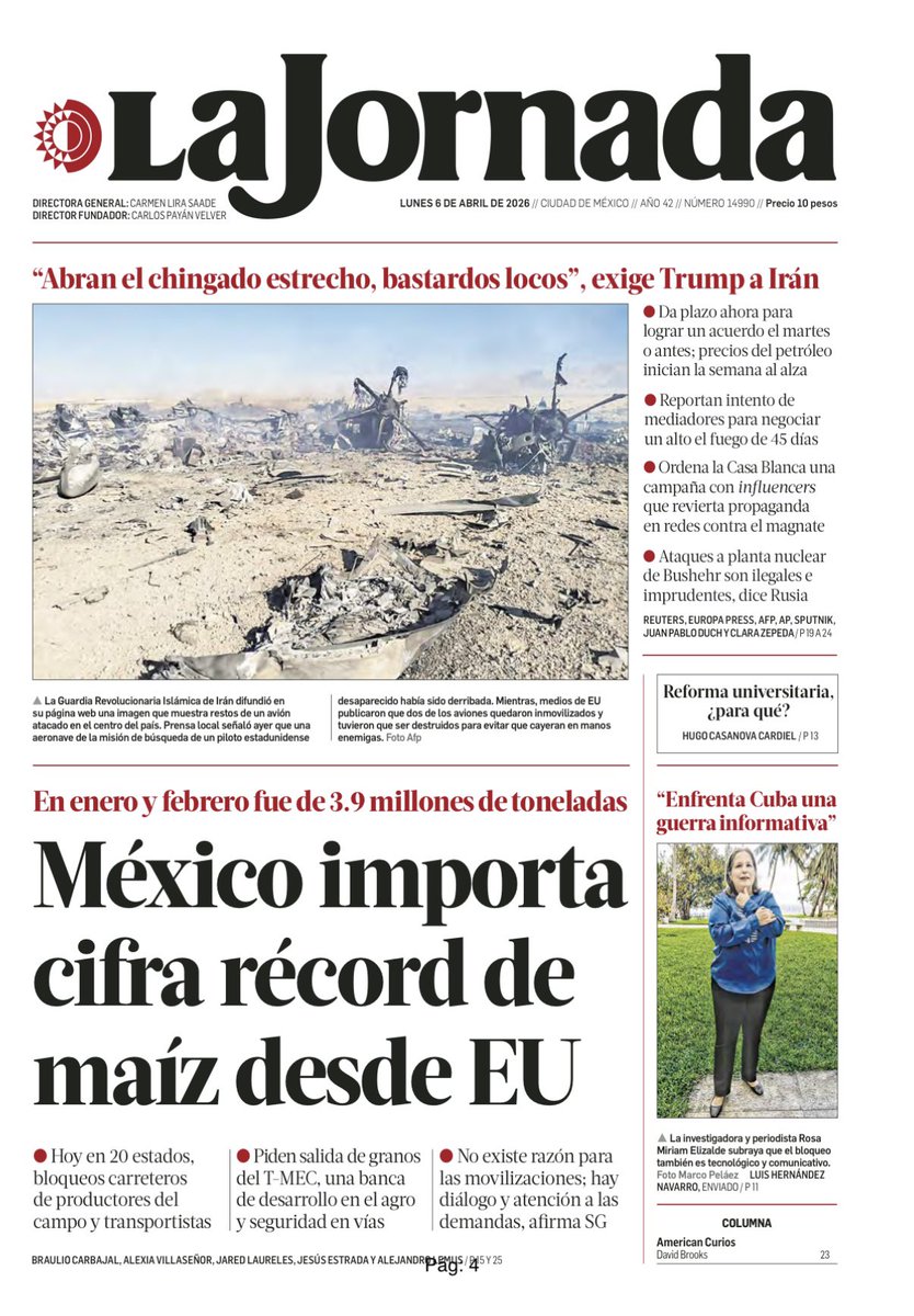Prolocal tweet media