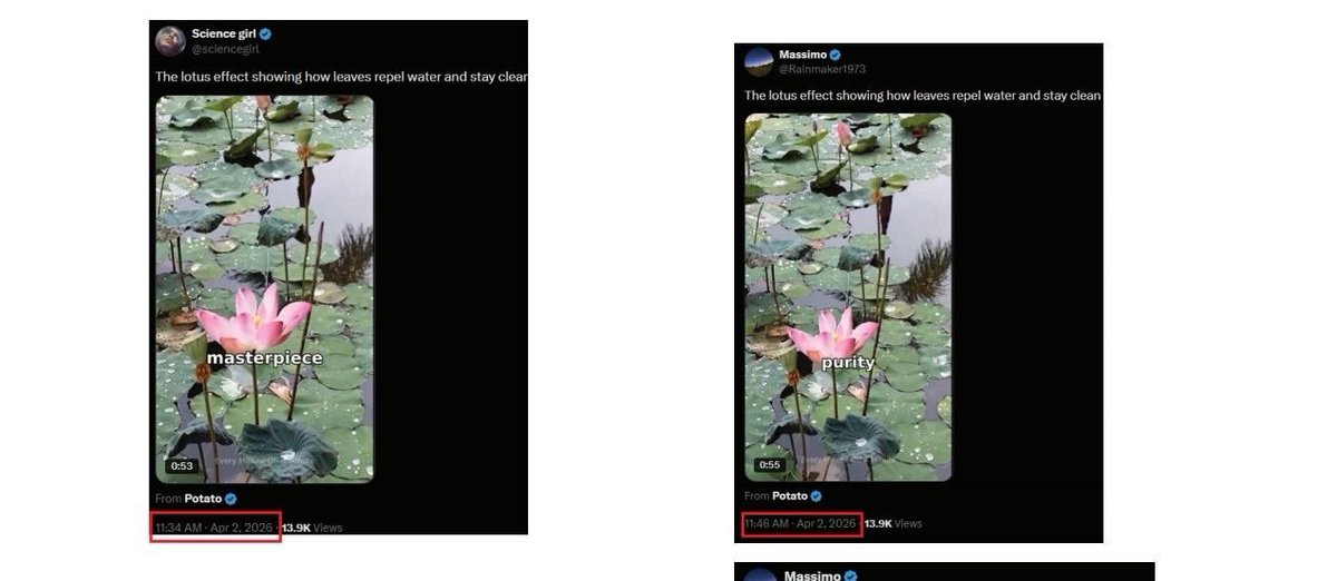 Science girl tweet media