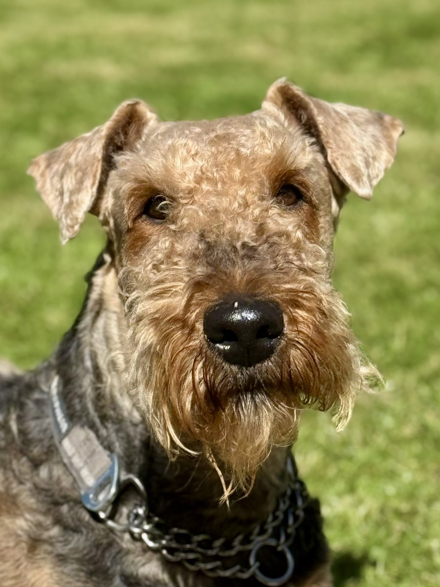 GuruGryff tweet picture