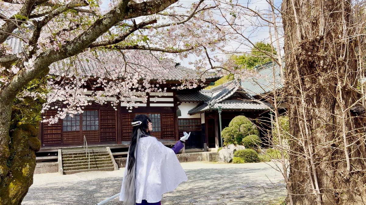 女将🐺❤️🔥 tweet media